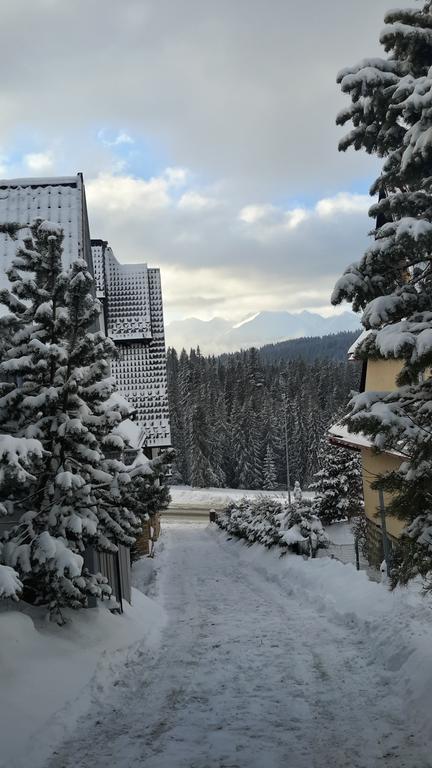U Siebie W Gorach II Appartement Bukowina Tatrzańska Buitenkant foto